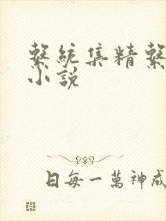 系统集精系统 小说