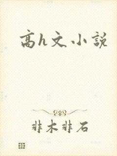 高h文小说