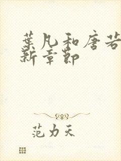 叶凡和唐若雪最新章节封面