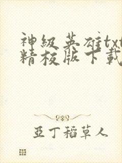 神级英雄txt精校版下载