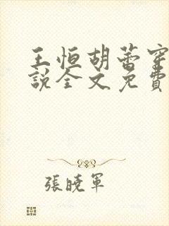 王恒胡蕾穿越小说全文免费阅读