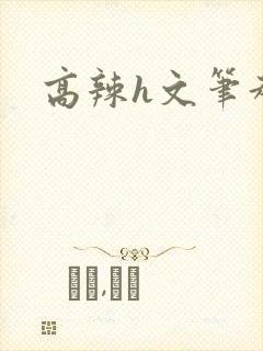 高辣h文笔趣阁