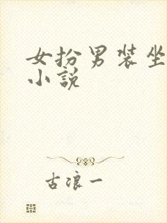 女扮男装坐江山小说