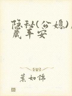 隐秘(公媳)岁岁平安封面