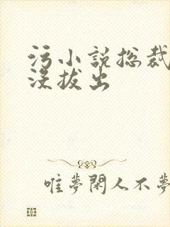 污小说总裁整夜没拔出