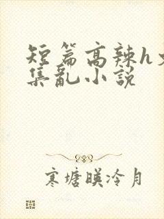 短篇高辣h文合集乱小说