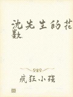 沈先生的花式调数封面