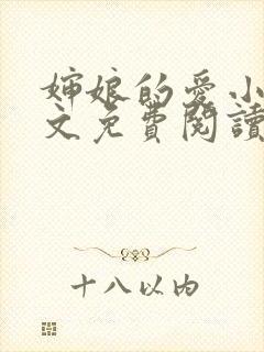 婶娘的爱小说全文免费阅读