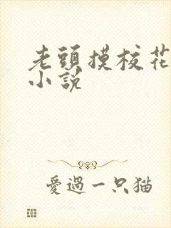 老头摸校花奶子小说