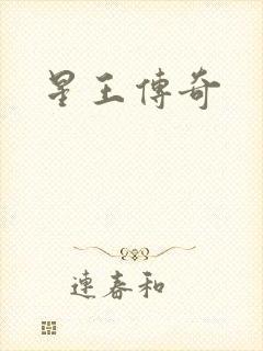 星王传奇封面