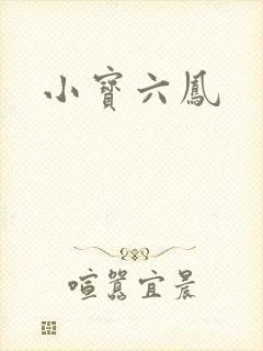 小宝六凤