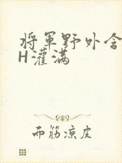 将军野外含公主H灌满