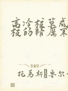 高冷校草成为全校的精厉寒小说封面