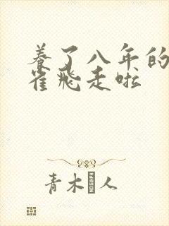 养了八年的金丝雀飞走啦