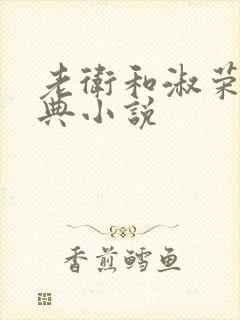 老卫和淑荣的经典小说封面