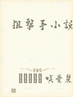 狙击手小说封面