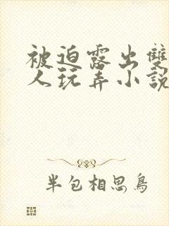 被迫露出双乳供人玩弄小说