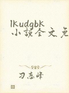 lkudgbk小说全文免费阅读笔趣阁无弹窗