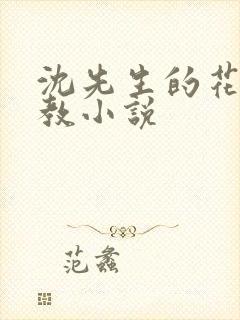 沈先生的花式调教小说