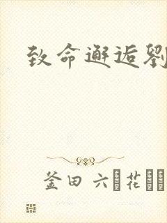 致命邂逅刘小寐封面