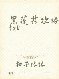 黑莲花攻略手册txt封面