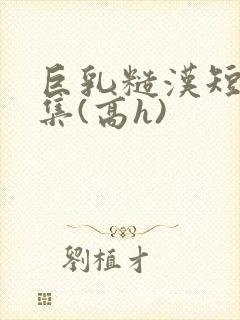 巨乳糙汉短篇合集(高h)