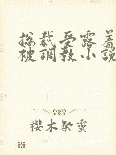 总裁受露着奶头被调教小说