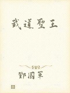 武道圣王封面