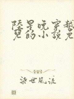 陆星晚穿越成婴儿的小说免费阅读全文封面