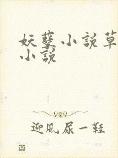妖孽小说草莓酱小说