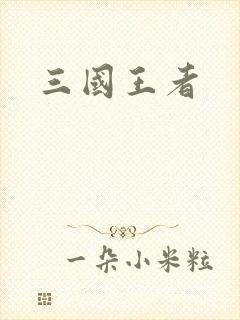 三国王者