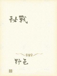 秘战