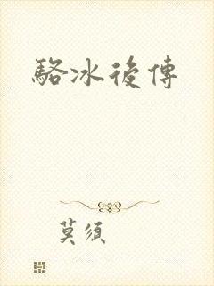 骆冰后传封面