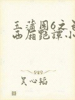 玉蒲团6之色情西厢艳谭小说封面