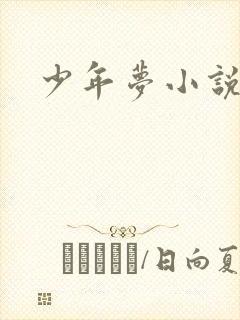 少年梦小说封面