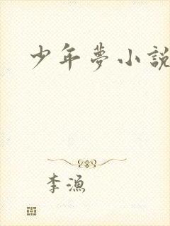 少年梦小说封面