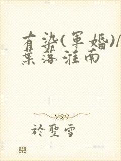 有染(军婚)/叶落淮南