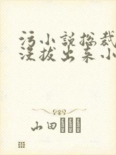 污小说总裁整夜没拔出来小说在线阅读