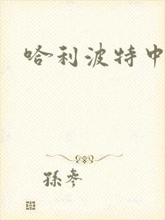 哈利波特中文版