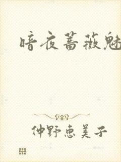 暗夜蔷薇魅