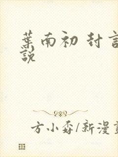 叶南初 封言小说