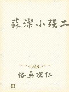 苏洁小强工地情