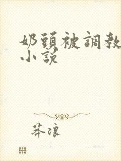 奶头被调教大的小说