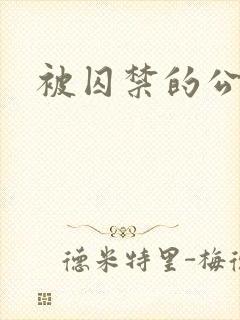 被囚禁的公主封面