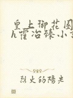 皇上御花园hlh霍冶臻小说封面