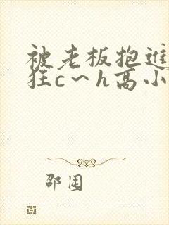 被老板抱进卧室狂c～h高小说