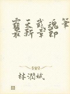 霸天武魂笔趣阁最新章节封面