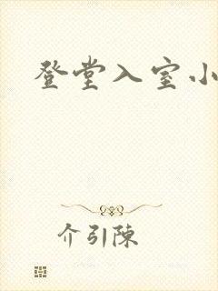 登堂入室小说封面