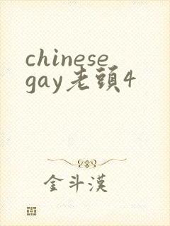 chinesegay老头4
