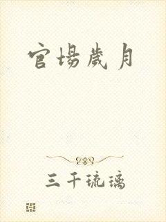 官场岁月封面